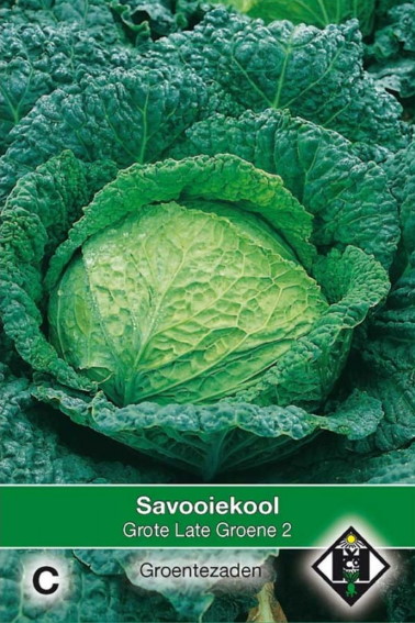Savooiekool Grote Late Groene 2 (Brassica) 600 zaden HE